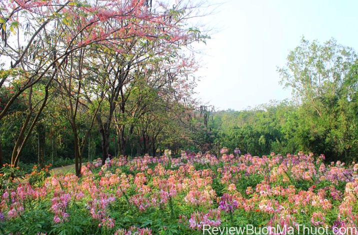 Kinh nghiệm du lịch KoTam 8