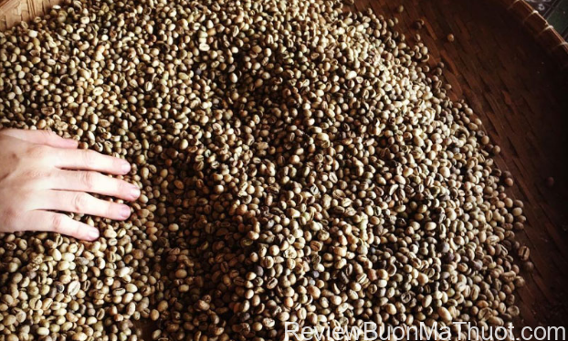 Cà phê là đặc sản không thể bỏ lỡ khi đến Đắk Lắk (Ảnh – nabi.xixon)